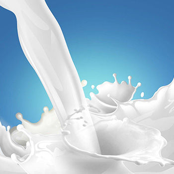 Relaunch Biomolkerei Biedermann Bischofszell